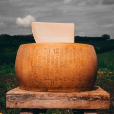 de èchte Parmezaanse kaas